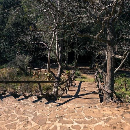 Anew Resort Ingeli Forest Kokstad Кокстад Екстериор снимка