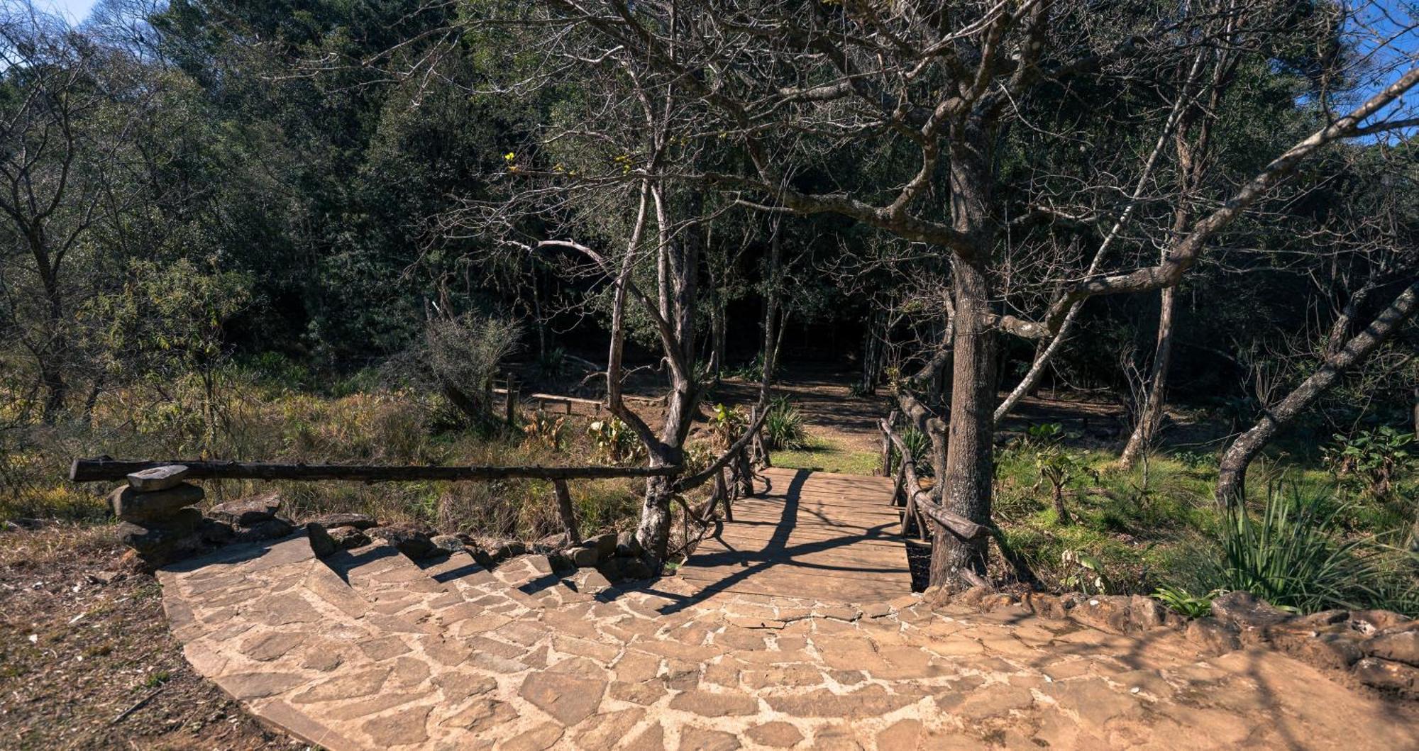 Anew Resort Ingeli Forest Kokstad Кокстад Екстериор снимка