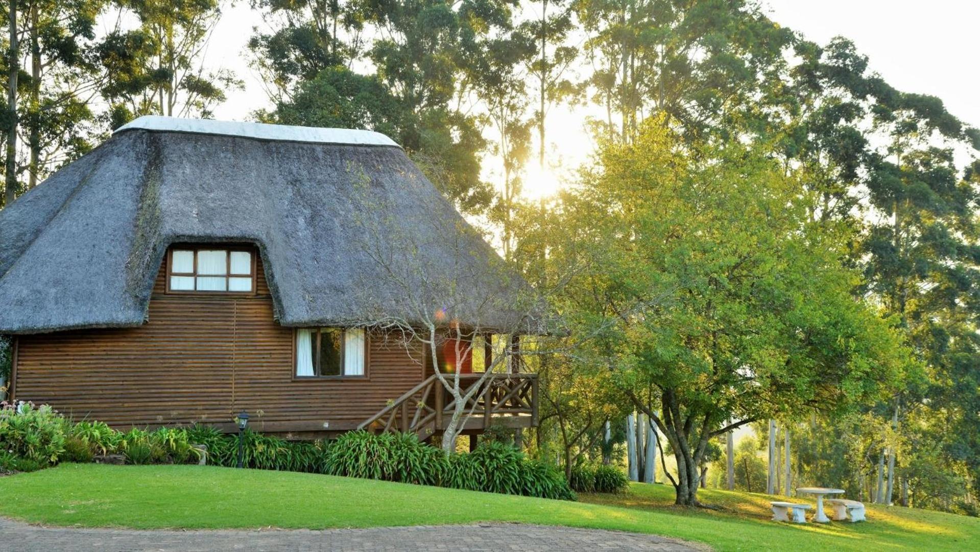 Anew Resort Ingeli Forest Kokstad Кокстад Екстериор снимка